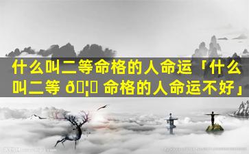 什么叫二等命格的人命运「什么叫二等 🦍 命格的人命运不好」